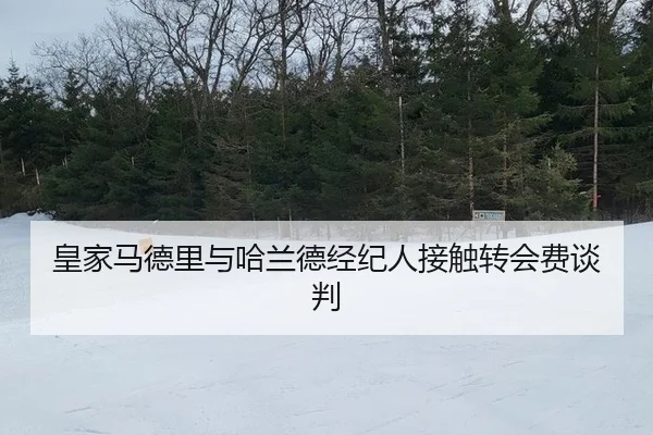皇家马德里与哈兰德经纪人接触转会费谈判